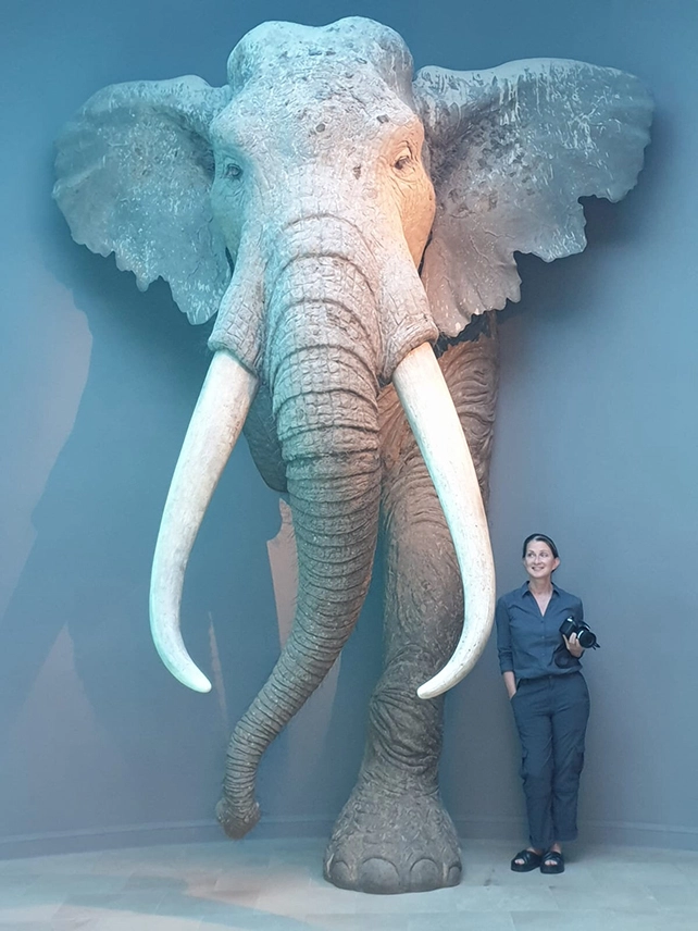 Исследователь Сабина Гаудзински-Виндхойзер с реконструкцией взрослого самца слона в натуральную величину