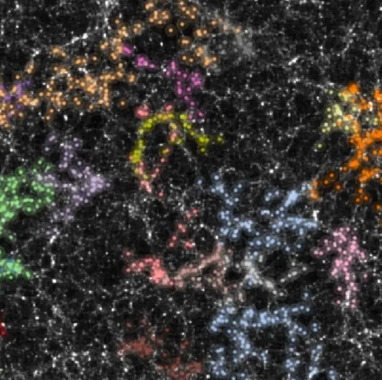 Часть Вселенной (черно-белая) с ореолами темной материи, обозначенными точками, и связанными с ними крупномасштабными топологическими структурами, обозначенными цветами.