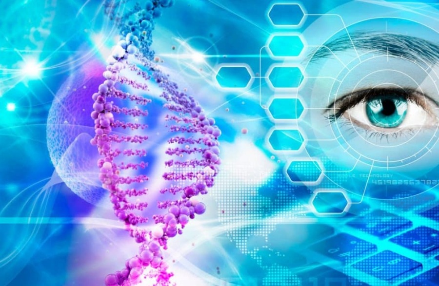 10 интересных фактов о ДНК