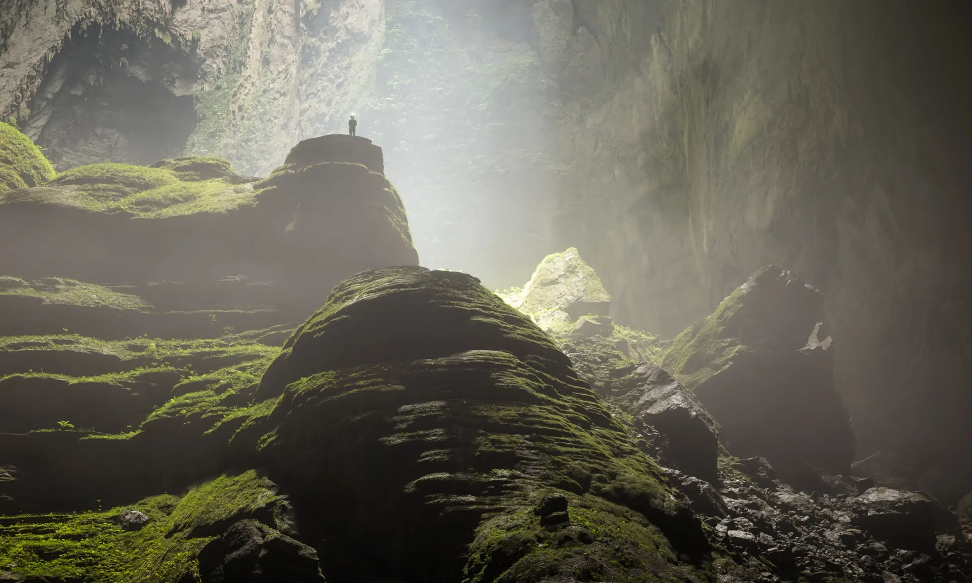 Новые виды растений были обнаружены учеными в глубине пещеры.