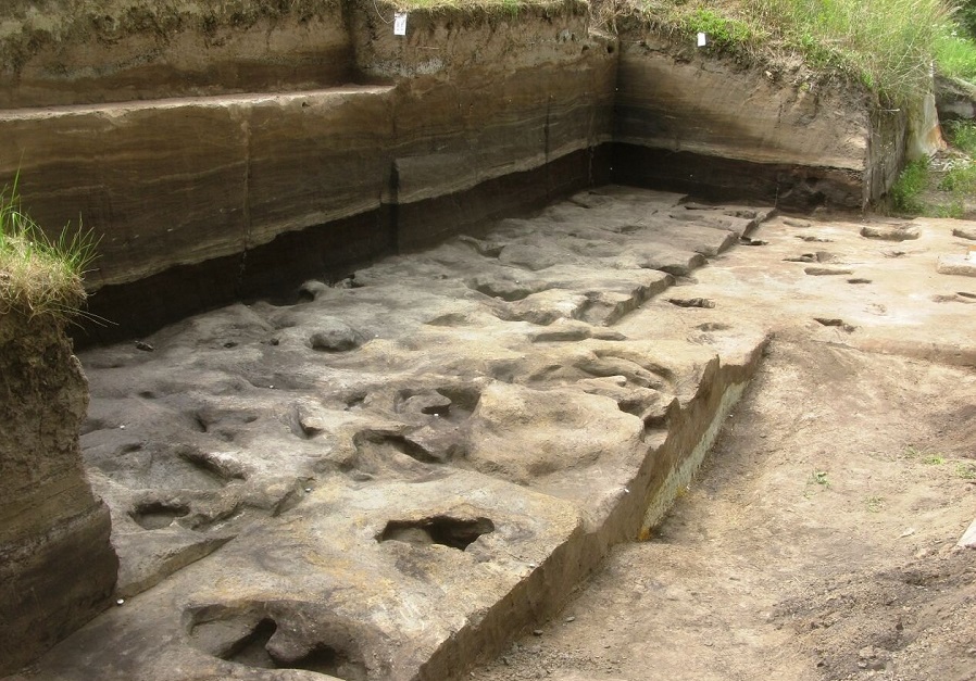 Ископаемые следы с места Schöningen 13 II-2 Untere Berme