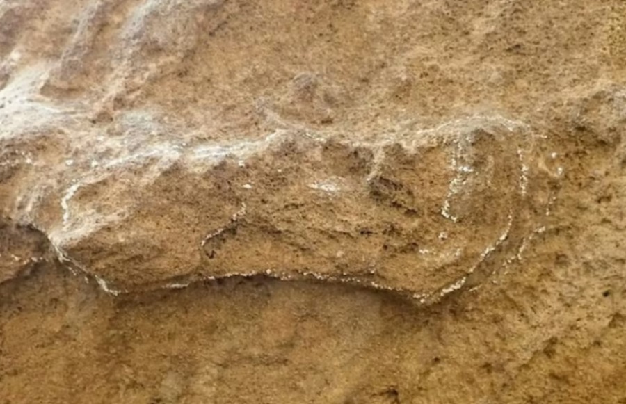 самые старые следы человека возрастом более 150 000 лет