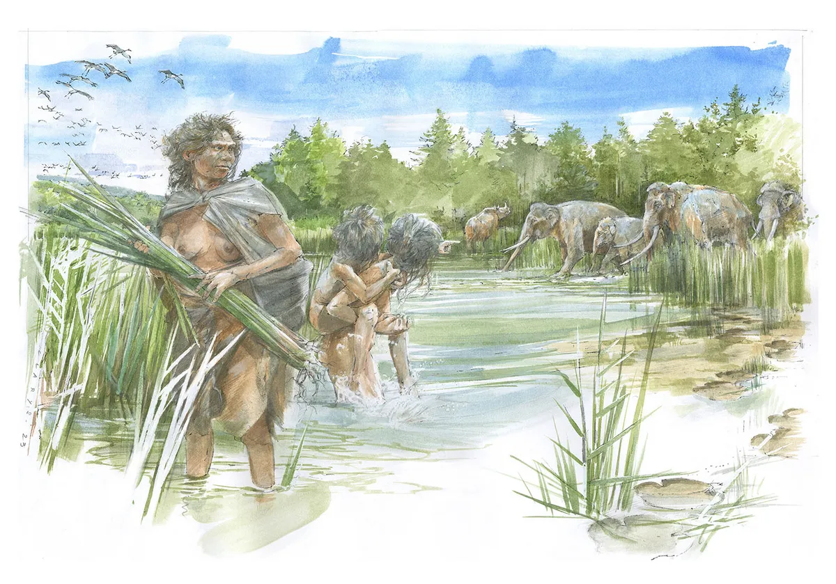 Художественное представление семьи Homo heidelbergensis, собирающей тростник, в то время как слоны пьют на заднем плане