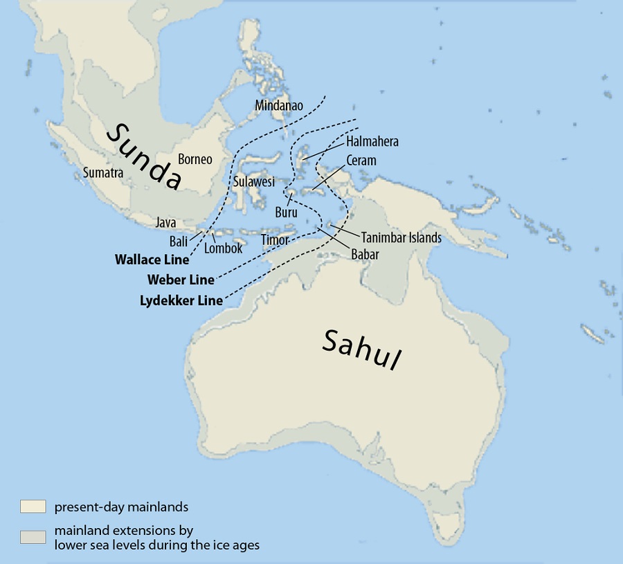 Карта палеоконтинентов Сахула и Сунды
