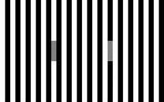 Две полосы в середине этого рисунка одинаково серые, но одна слева (окруженная большим количеством черных полос) выглядит темнее