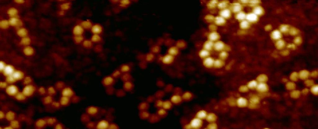 Супрамолекулярные ансамбли из шести атомов рубидия и одного атома железа. Сканирующая туннельная микроскопия выявила четкий сигнал одного атома железа