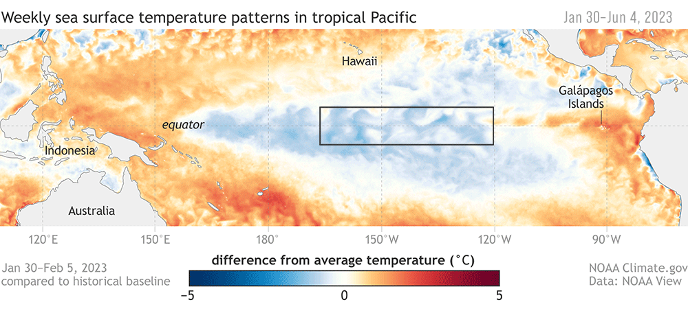 Еженедельные графики температуры поверхности моря в тропической части Тихого океана с 30 января по 4 июня 2023 