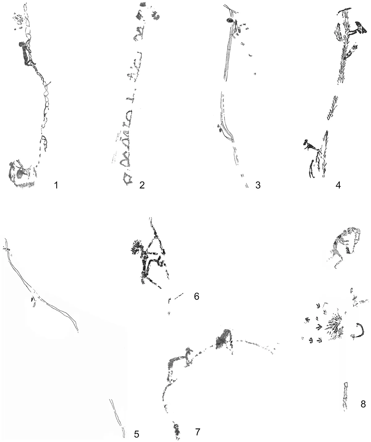 Разнообразие различных гибких систем для лазания, найденных в левантийских наскальных рисунках