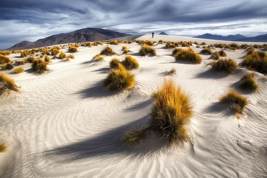 песок пустыни