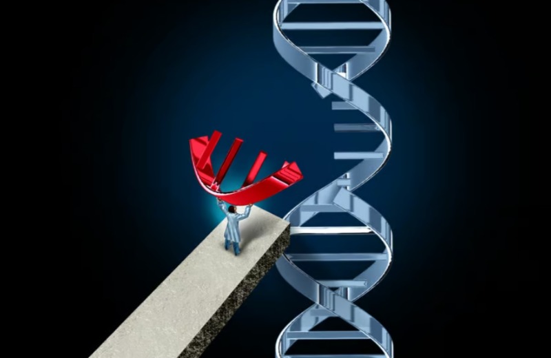 CRISPR гены