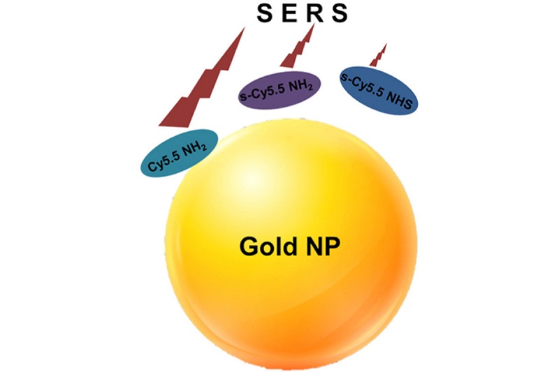 Иллюстрация использования наночастиц золота