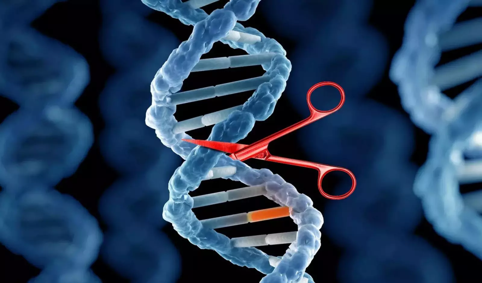Обнаружены тысячи генетических «ножниц», которые могут превзойти CRISPR