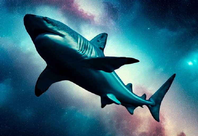 акула в космосе