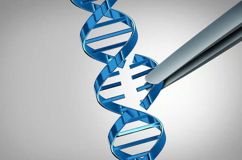 Инструмент редактирования генов CRISPR-Cas9