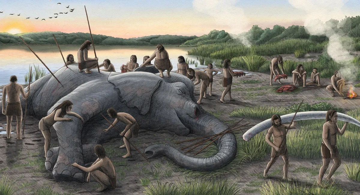 Найдены свидетельства охоты неандертальцев на огромных слонов