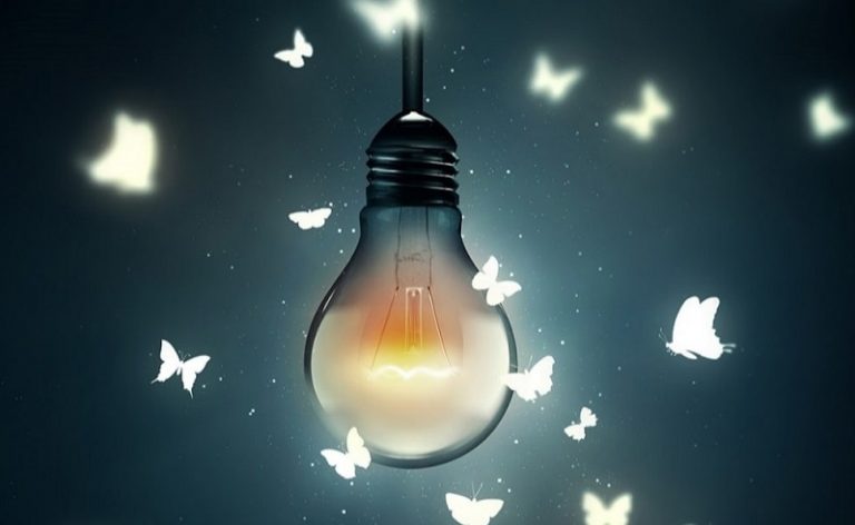 почему насекомые летят на свет