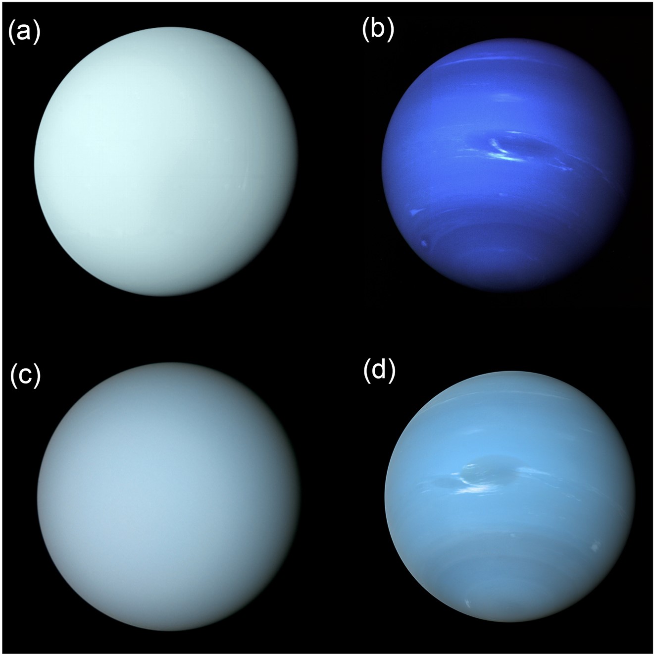 изображения внешнего вида Урана и Нептуна