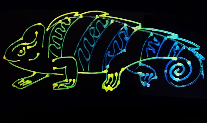 Разноцветный хамелеон, напечатанный как демонстрация технологии.