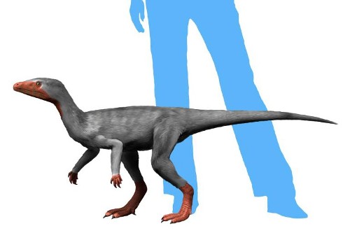 Типичный ранний динозавр эораптор из позднего триаса 
