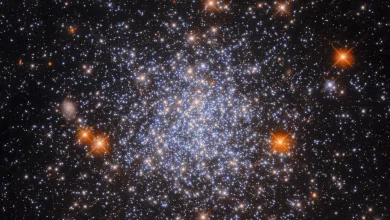 шаровое скопление под названием NGC 1651