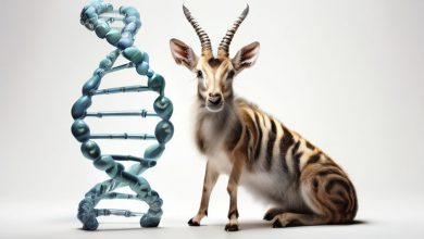 ошибки в копировании генов