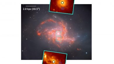 Изображение NGC 3256
