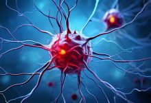 нейроны и синапсы