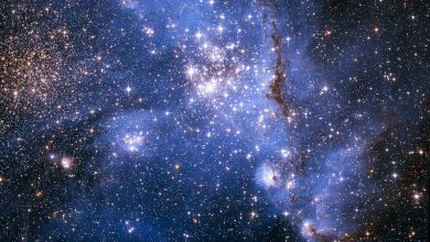 Область звездообразования NGC346