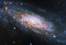 спиральная галактика NGC 4951