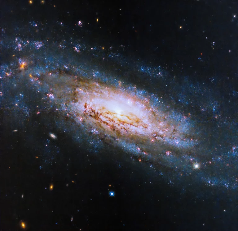 спиральная галактика NGC 4951