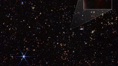 Галактика JADES-GS-z14-0