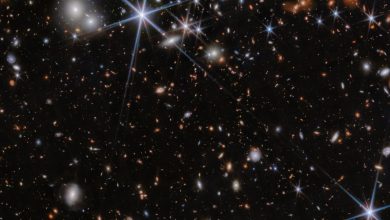 На этом изображении показана окружающая среда системы галактик ZS7