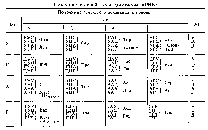 ГЕНЕТИЧЕСКИЙ КОД фото