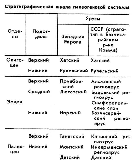 ПАЛЕОГЕНОВАЯ СИСТЕМА (ПЕРИОД) фото