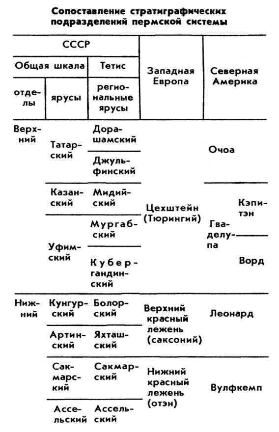 ПЕРМСКАЯ СИСТЕМА (ПЕРИОД) фото