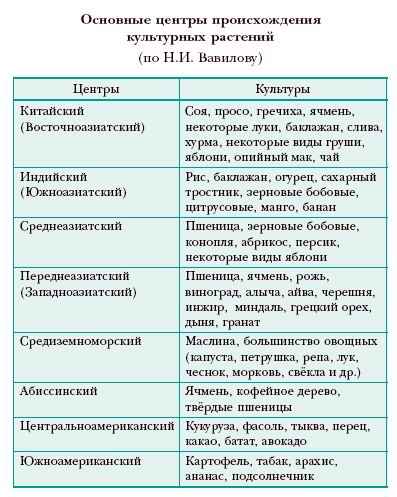 КУЛЬТУРНЫЕ РАСТЕНИЯ фото