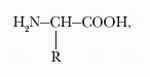 АМИНОКИСЛОТЫ фото №2
