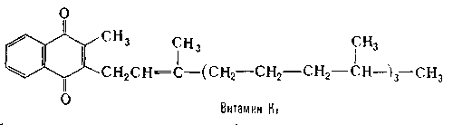 ВИТАМИН К фото