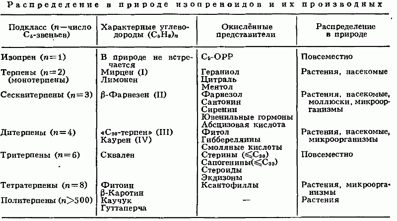 ИЗОПРЕНОИДЫ фото