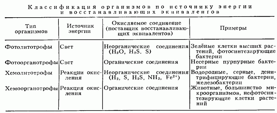 ОКИСЛЕНИЕ БИОЛОГИЧЕСКОЕ фото