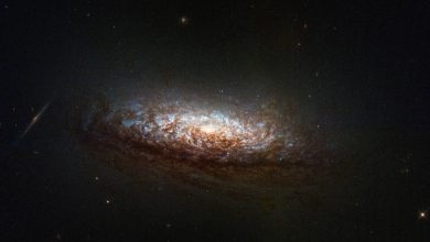 Галактика NGC 1546