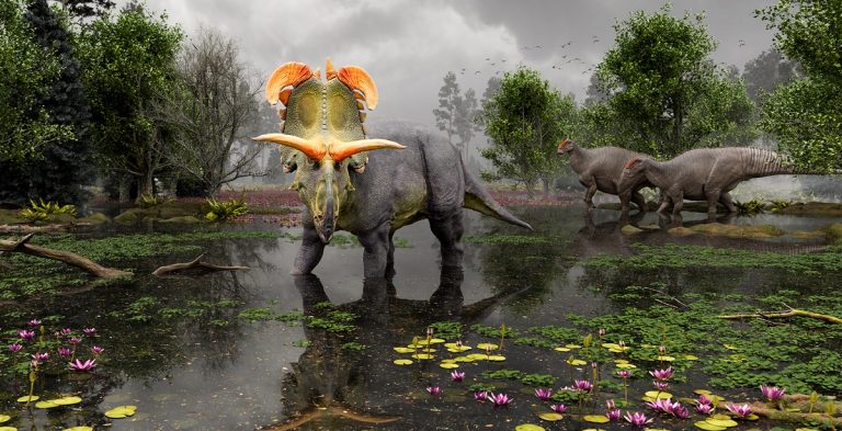 Реконструкция Локицератопса