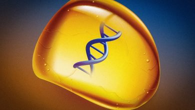 Искусственный янтарь надолго сохраняет данные в ДНК