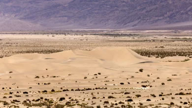 Песчаные дюны в национальном парке «Долина Смерти»
