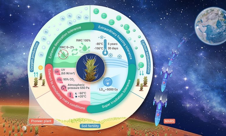 Пустынный мох может стать ключом к выращиванию растений на Марсе