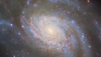 галактика NGC 3810