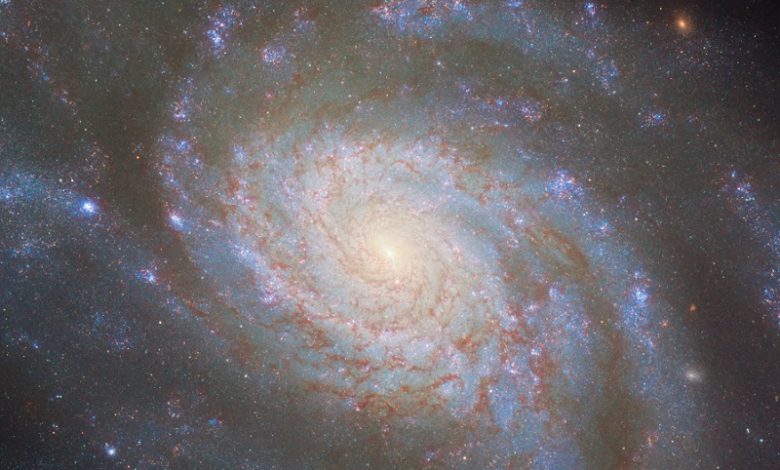 галактика NGC 3810