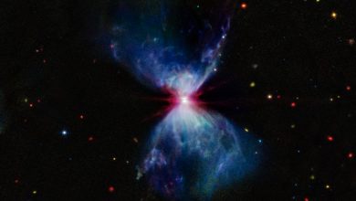 Протозвезда L1527 © NASA/ESA/CSA/STScI