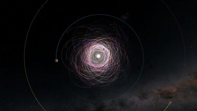 Gaia составила карту 150 000+ орбит астероидов.