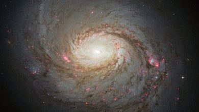 Messier 77